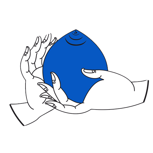 Bhutan Insurance Limited